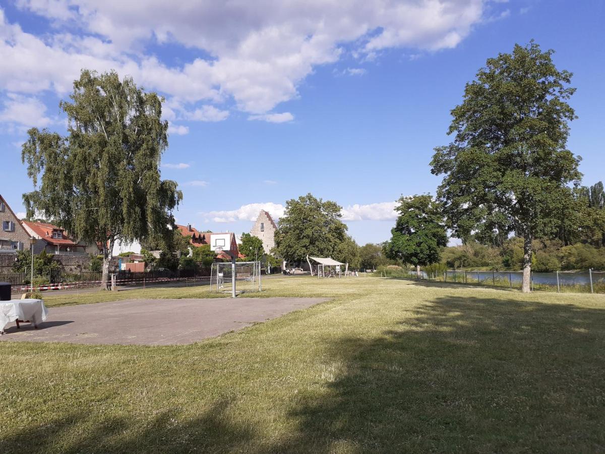 Main Idyll Frickenhausen am Main